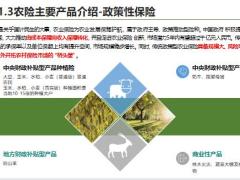 农险概述从农险到寿险含备注41页.pptx