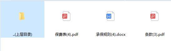 太保心安怡长期版医疗保险费率可调条款费率规则.rar