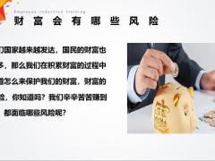 每个人都要面对的10大经济或财富风险你知道吗21页.pptx