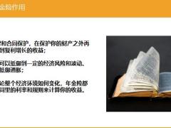 年金险的作用懂这6点都抢着买19页.pptx