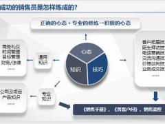 销售实战培训心态与知识篇46页.pptx