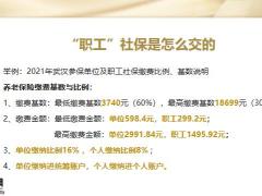 分享巧用工具促销售岁悦添富助养老22页.pptx