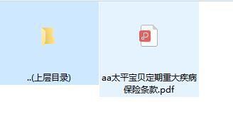 太平宝贝定期重大疾病保险条款.rar