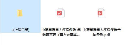 中荷星选重大疾病保险合同条款费率.rar