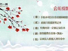保险公司冬日雪花梅花早会流程10页.ppt