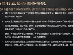 养老保险的初步认知基本现象内在关联核心功能重点认识27页.pptx