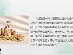 年金险如何选择五大功能及如何购买20页.pptx