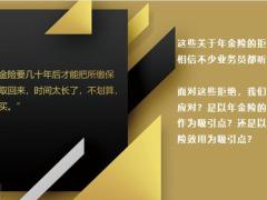 年金险销售大师连续2年300多万保费业绩的秘诀17页.pptx