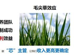 保险公司主管的定位与职责有效辅导的核心39页.pptx