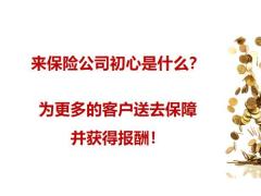 名单收集与整理方法训练通关33页.pptx