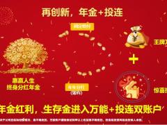 泰康人寿惠赢人生尊赢庆典惠赢添利投连添利45页.pptx