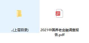 2021中国养老金融调查报告.rar