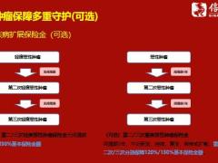 信泰完美人生金葫芦版上市宣导13页.pptx