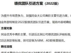 保险公司人力发展绩优团队引进方案2022版18页.pptx