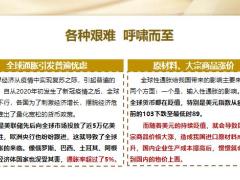 太平人寿岁悦添富促成逻辑活动版17页.pptx