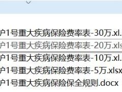 中英人寿华英守护1号重大疾病保险费率表保全规则.rar