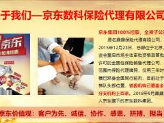 理财产说会主讲流程爱心人寿开门红映山红酒会含备注29页.pptx