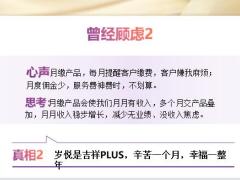 太平人寿岁悦添富销售攻略19页.pptx