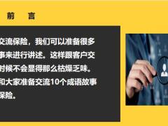 这十句成语可谓趣说保险17页.pptx