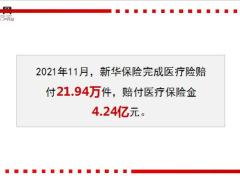 新华保险2021年11月十大医疗险赔案13页.ppt