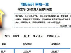 阳光人寿阳光升B简易计划书6页.pptx