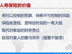 开门红保险产品终寿销售理念及逻辑43页.pptx