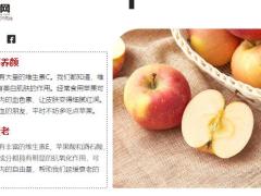 每日健康入秋4大水果护血管抗衰老防便秘家里一定要常买12页.ppt