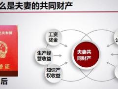 法律角度分析保险需求62页.pptx
