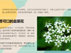 每日健康入秋后遇它别手软多吃眼睛明亮抵抗力更强存好吃一年15页.ppt