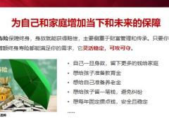 增额终身寿险的平台促成24页.pptx