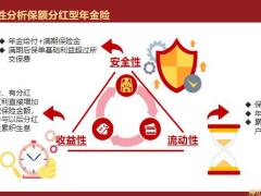 恒安标准幸福悦享年金保险分红型产品特点介绍投保示例条款摘录51页.pptx