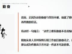 在观察了上百个保险人后发现那些件数高手都有这7个的共性25页.pptx
