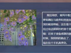 每日快乐早会21年12月23日使用12页.pptx