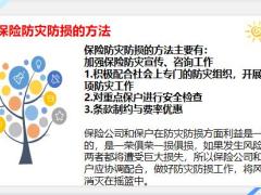 什么是保险防灾防损15页.pptx