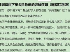 共同富裕下年金险价值的讲解逻辑国家红利版2页.docx