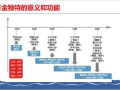年金独特的意义和功能PAR讲解总结17页.pptx
