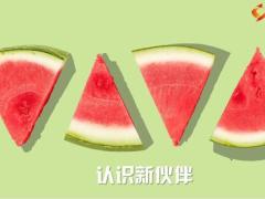 2022保险迎新早会流程水果清新模板14页.ppt