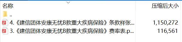 建信团体安康无忧B款重大疾病保险条款费率.rar