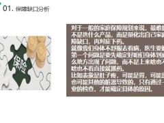 保障缺口分析伸手党方案24页.pptx