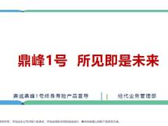 鼎诚人寿鼎峰一号产品介绍案例演示33页.pptx