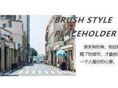 有保险的感情才叫浪漫17页.pptx