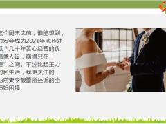 2022王力宏离婚启示全职妈妈理财理念篇17页.pptx