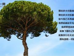 2022欢迎新朋友保险迎新早会流程20页.ppt