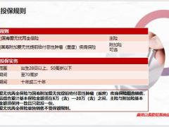 国寿爱无忧两全保险等两款产品投保规则条款责任核保规则10页.pptx