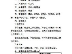 建信团体安康无忧B款重大疾病保险产品摘要6页.pptx