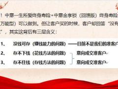 关于增额终身寿你不知道的秘密17页.pptx