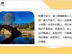 每日鸡汤态度往往不能决定行动反而是行动有时候决定了态度.zip