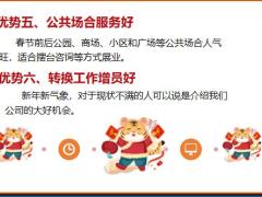 2022虎年春节营销技巧17页.pptx