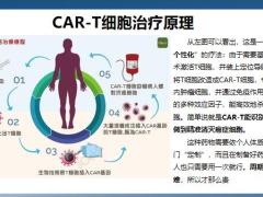 阳光医无忧健管服务介绍36页.pptx
