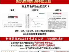 新华惠金享展业手册经济形势实力巨献产品介绍13页.pptx
